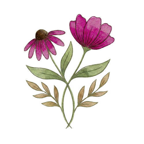 Illustration einer Blume